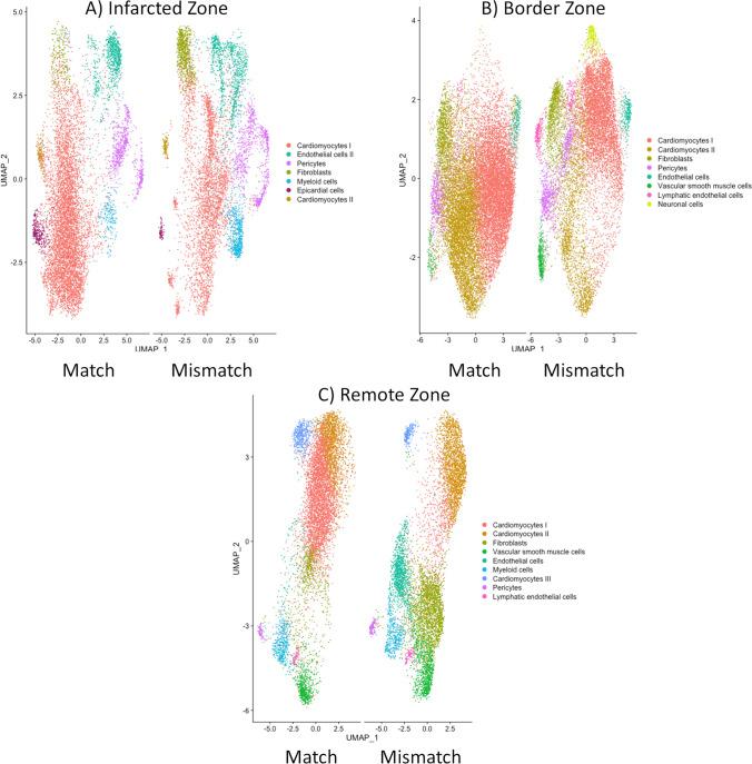 https://cdn.ncbi.nlm.nih.gov/pmc/blobs/98d4/11461641/de1720b10b9f/395_2024_1064_Fig9_HTML.jpg