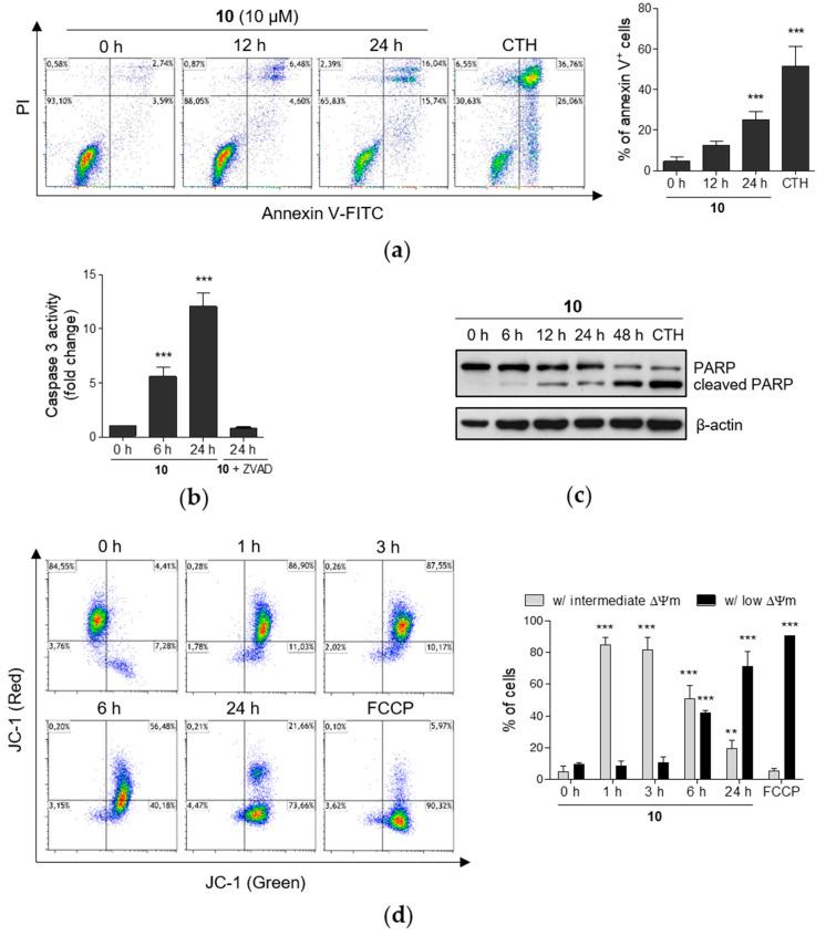 https://cdn.ncbi.nlm.nih.gov/pmc/blobs/98d4/7279329/f77821dc0ca0/ijms-21-03416-g003.jpg