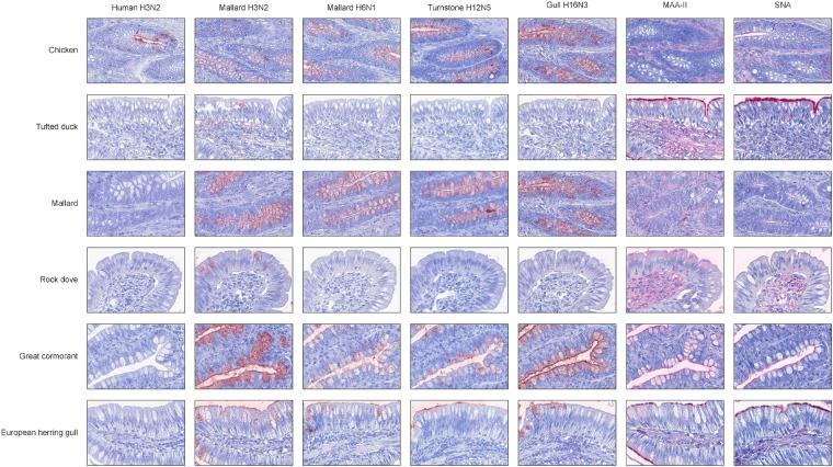 https://cdn.ncbi.nlm.nih.gov/pmc/blobs/98d5/6482220/ffca9742e124/fmicb-10-00815-g004.jpg