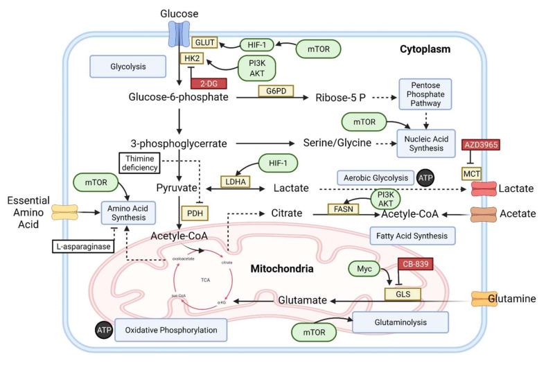 https://cdn.ncbi.nlm.nih.gov/pmc/blobs/98d5/8871334/ea1ddff69835/diagnostics-12-00394-g001.jpg