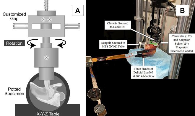 https://cdn.ncbi.nlm.nih.gov/pmc/blobs/98d8/9893372/23e397a52459/10.1177_23259671221119542-fig2.jpg
