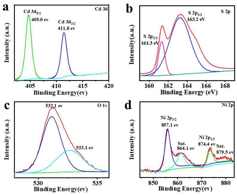 https://cdn.ncbi.nlm.nih.gov/pmc/blobs/98da/11677877/52049f94d251/molecules-29-05821-g004.jpg