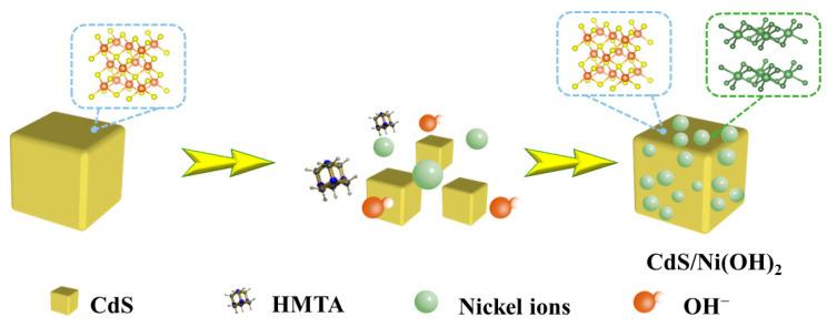 https://cdn.ncbi.nlm.nih.gov/pmc/blobs/98da/11677877/b22ab7dbe320/molecules-29-05821-g001.jpg