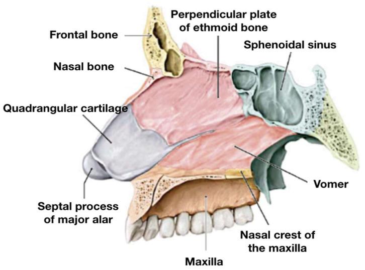 https://cdn.ncbi.nlm.nih.gov/pmc/blobs/98da/12347903/f20f8fb69b3c/jcm-14-05279-g002.jpg