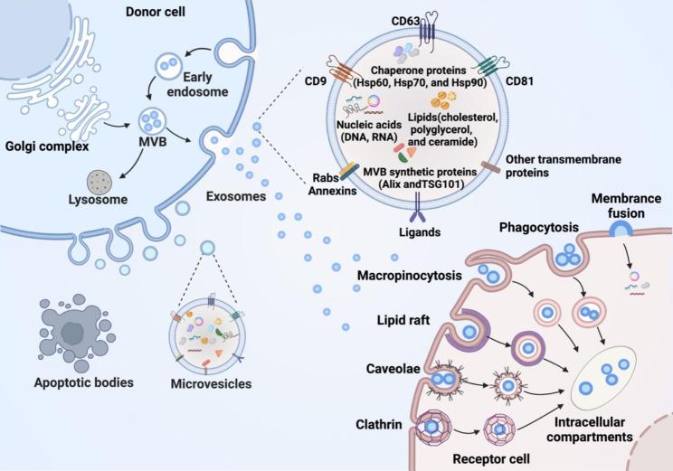 https://cdn.ncbi.nlm.nih.gov/pmc/blobs/98db/10207723/8ceaf8481a44/12951_2023_1921_Fig1_HTML.jpg
