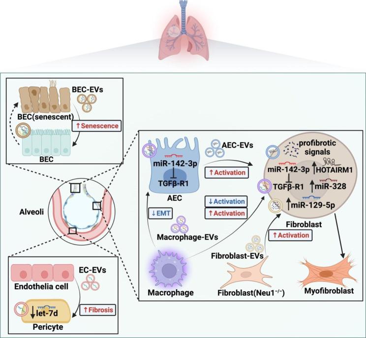 https://cdn.ncbi.nlm.nih.gov/pmc/blobs/98db/10207723/970b993bc177/12951_2023_1921_Fig3_HTML.jpg