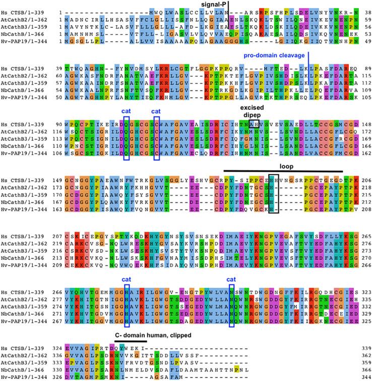 https://cdn.ncbi.nlm.nih.gov/pmc/blobs/98db/10920296/9937a19046b2/fpls-15-1305855-g002.jpg
