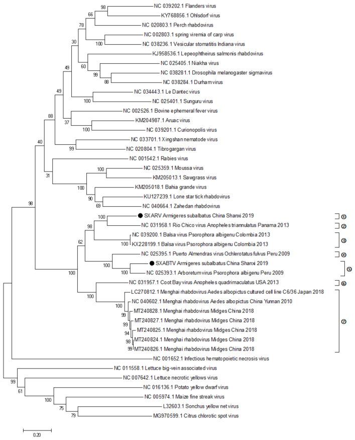 https://cdn.ncbi.nlm.nih.gov/pmc/blobs/98db/9230728/609536a8a1e8/pathogens-11-00624-g004.jpg
