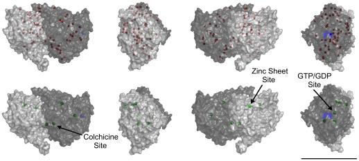 https://cdn.ncbi.nlm.nih.gov/pmc/blobs/98dd/3311647/1b6754950644/pone.0033552.g005.jpg