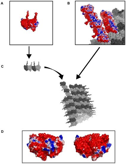 https://cdn.ncbi.nlm.nih.gov/pmc/blobs/98dd/3311647/a92d1d018265/pone.0033552.g004.jpg
