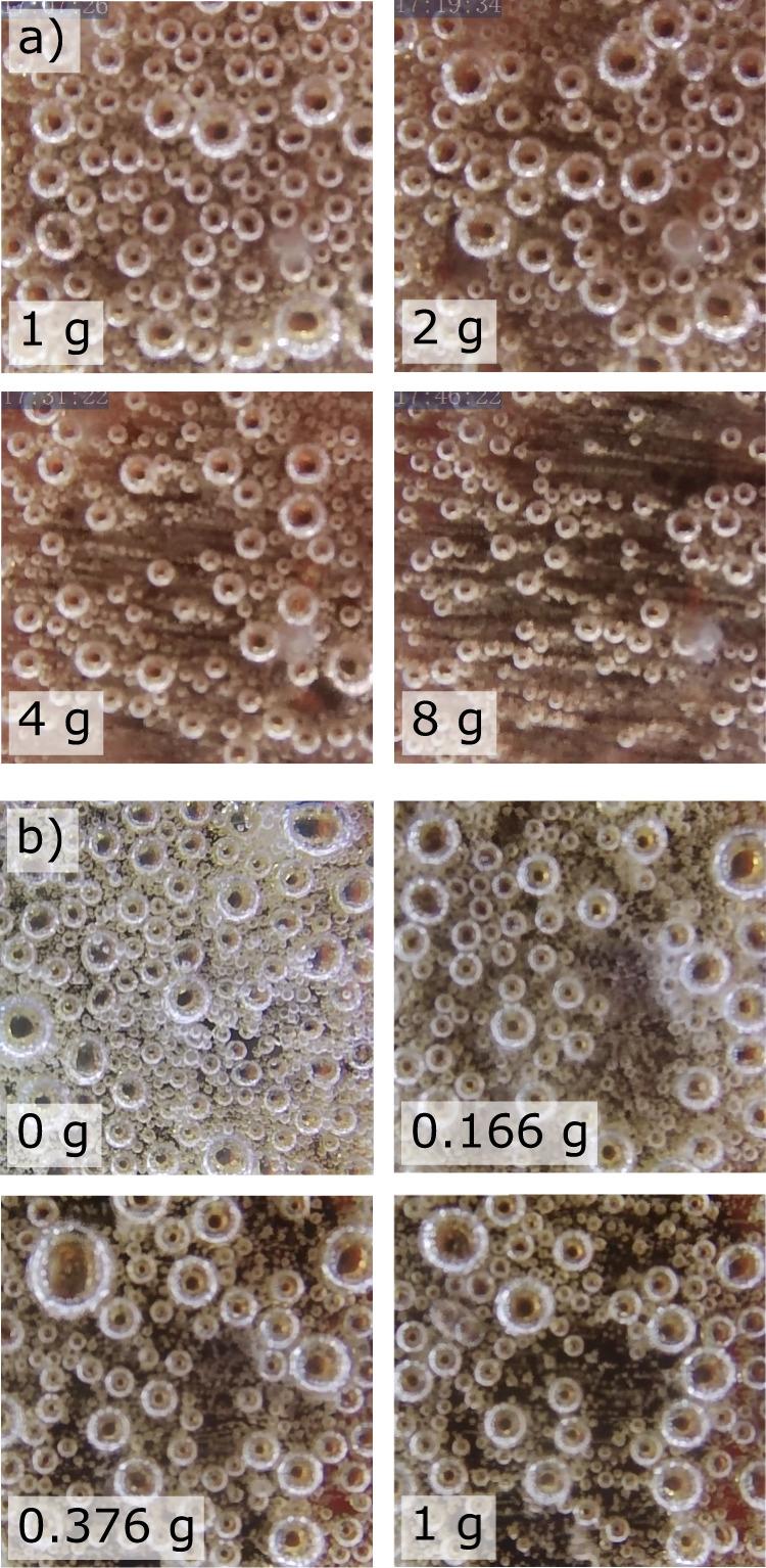 https://cdn.ncbi.nlm.nih.gov/pmc/blobs/98dd/8826910/c9617b978924/41467_2022_28147_Fig4_HTML.jpg