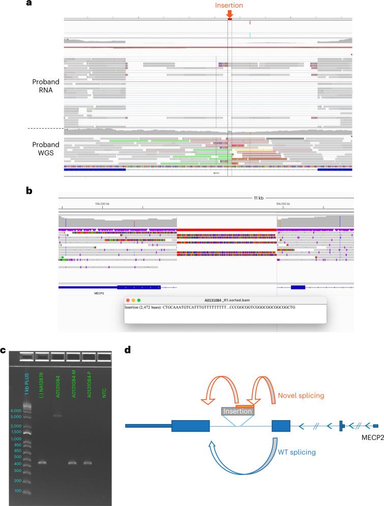https://cdn.ncbi.nlm.nih.gov/pmc/blobs/98de/10353936/25a5db5147e4/41591_2023_2401_Fig4_HTML.jpg