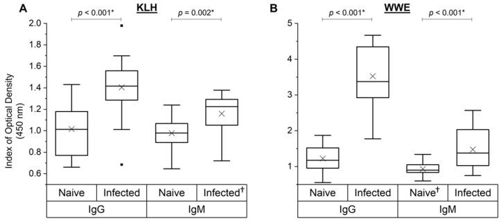 https://cdn.ncbi.nlm.nih.gov/pmc/blobs/98df/8876122/8fe58ef63d1d/vetsci-09-00058-g006.jpg