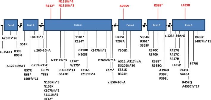 https://cdn.ncbi.nlm.nih.gov/pmc/blobs/98e0/7187706/85b8bf783610/ACN3-7-486-g002.jpg