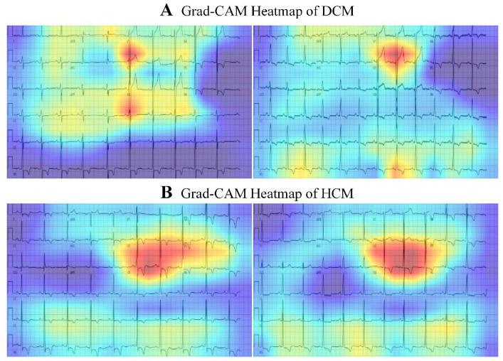 https://cdn.ncbi.nlm.nih.gov/pmc/blobs/98e1/11939401/0e0246c7f940/bioengineering-12-00250-g007.jpg