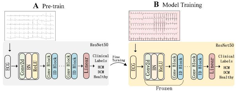 https://cdn.ncbi.nlm.nih.gov/pmc/blobs/98e1/11939401/50a6870bea5d/bioengineering-12-00250-g003.jpg