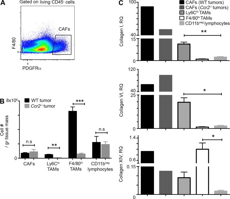 https://cdn.ncbi.nlm.nih.gov/pmc/blobs/98e1/5068227/33575896703b/JEM_20151193_Fig7.jpg