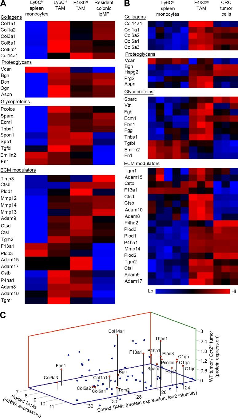 https://cdn.ncbi.nlm.nih.gov/pmc/blobs/98e1/5068227/80124c19b3f9/JEM_20151193_Fig5.jpg
