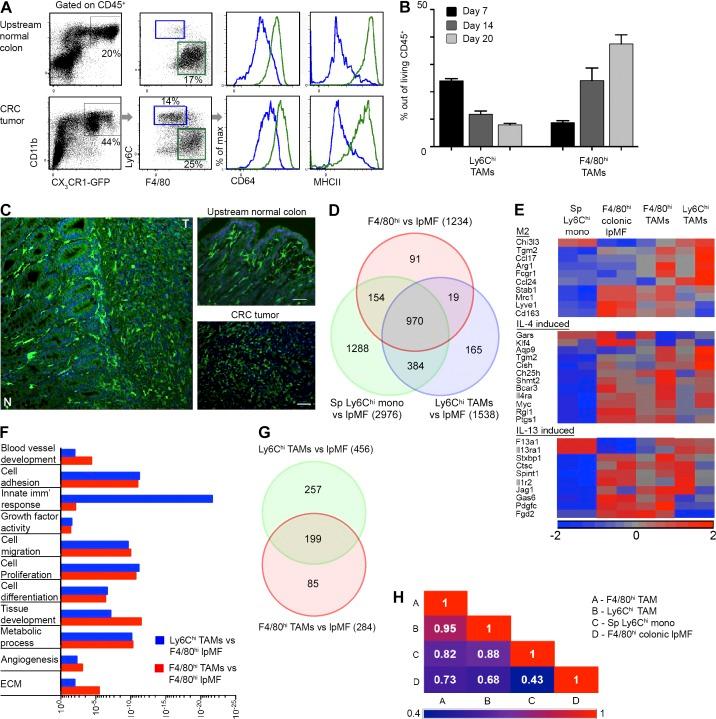 https://cdn.ncbi.nlm.nih.gov/pmc/blobs/98e1/5068227/ca6e6f447c20/JEM_20151193_Fig1.jpg