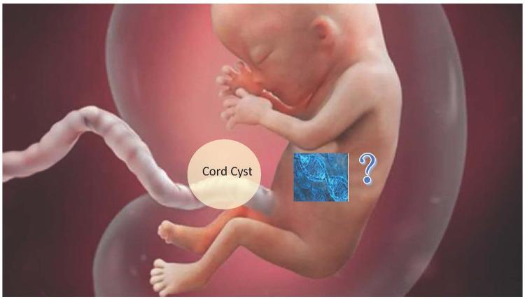 https://cdn.ncbi.nlm.nih.gov/pmc/blobs/98e3/9236164/e9ba90175848/IJGM-15-5775-g0001.jpg