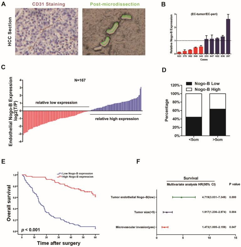 https://cdn.ncbi.nlm.nih.gov/pmc/blobs/98e3/9564156/f4728f7063e2/cells-11-03084-g001.jpg