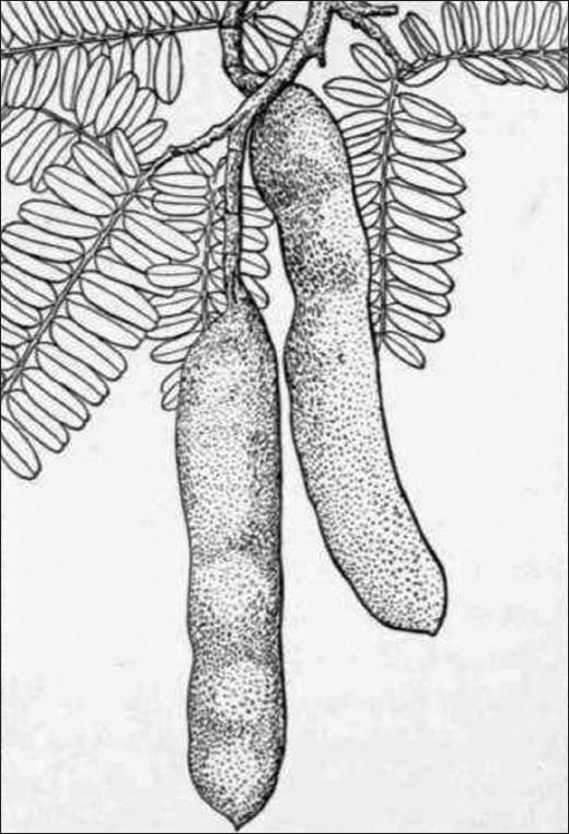 https://cdn.ncbi.nlm.nih.gov/pmc/blobs/98e4/3210002/7ecab0a958ed/PRev-5-73-g001.jpg