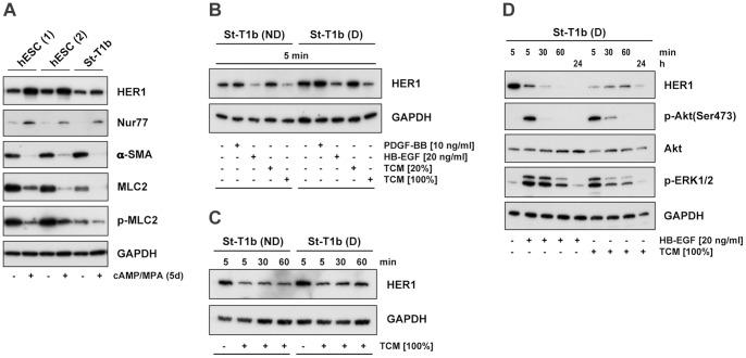 https://cdn.ncbi.nlm.nih.gov/pmc/blobs/98e9/3549986/9b4f7f1ddb39/pone.0054336.g002.jpg
