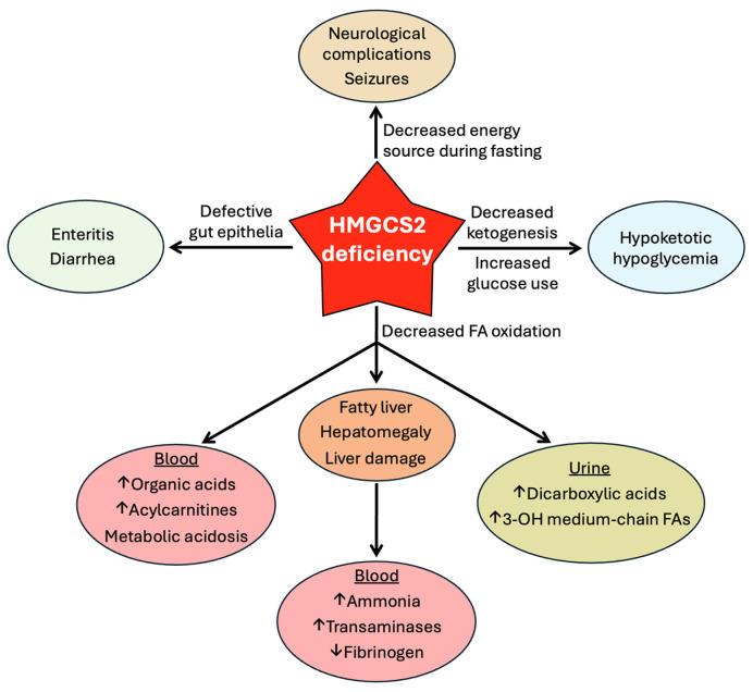 https://cdn.ncbi.nlm.nih.gov/pmc/blobs/98eb/12024914/043949e0ecc3/biomolecules-15-00580-g005.jpg