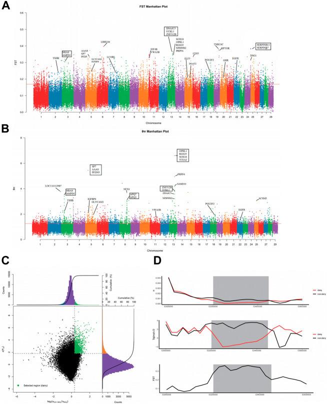 https://cdn.ncbi.nlm.nih.gov/pmc/blobs/98eb/9852865/ed4f75b423fd/fgene-13-1044017-g004.jpg