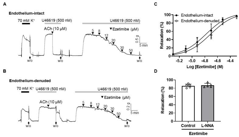 https://cdn.ncbi.nlm.nih.gov/pmc/blobs/98ed/10531054/3f8383314164/ijms-24-13992-g002.jpg