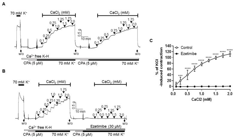 https://cdn.ncbi.nlm.nih.gov/pmc/blobs/98ed/10531054/eb06843469d9/ijms-24-13992-g004.jpg