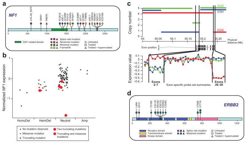 https://cdn.ncbi.nlm.nih.gov/pmc/blobs/98ed/2671642/34ebeff98151/nihms68048f2.jpg