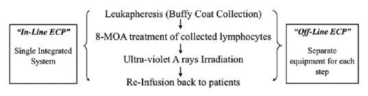 https://cdn.ncbi.nlm.nih.gov/pmc/blobs/98ed/5613442/76c0e9e1d552/AJTS-11-81-g001.jpg
