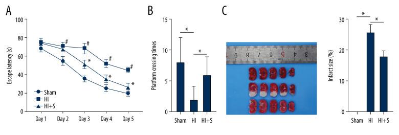 https://cdn.ncbi.nlm.nih.gov/pmc/blobs/98ee/8178995/d22b1c390db2/medscimonit-27-e930042-g001.jpg
