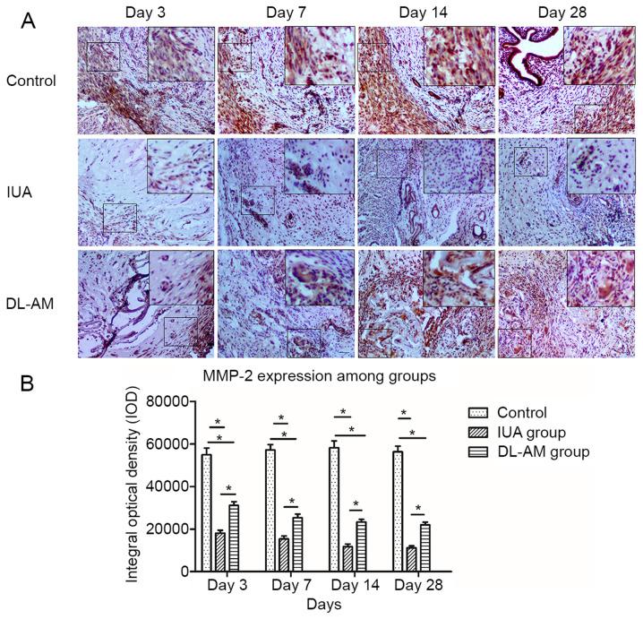 https://cdn.ncbi.nlm.nih.gov/pmc/blobs/98ee/8290472/ee6fc1db0792/etm-22-03-10400-g04.jpg