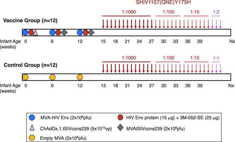 https://cdn.ncbi.nlm.nih.gov/pmc/blobs/98f1/8865927/5356f111b8b5/msphere.00839-21-f001.jpg