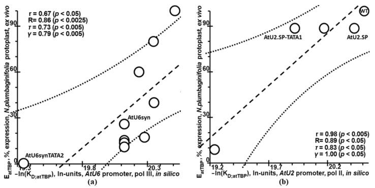 https://cdn.ncbi.nlm.nih.gov/pmc/blobs/98f3/9369029/33af482950bf/ijms-23-08684-g005.jpg