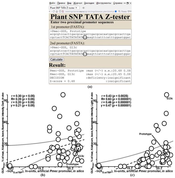 https://cdn.ncbi.nlm.nih.gov/pmc/blobs/98f3/9369029/7ff3ee5a03e0/ijms-23-08684-g003.jpg