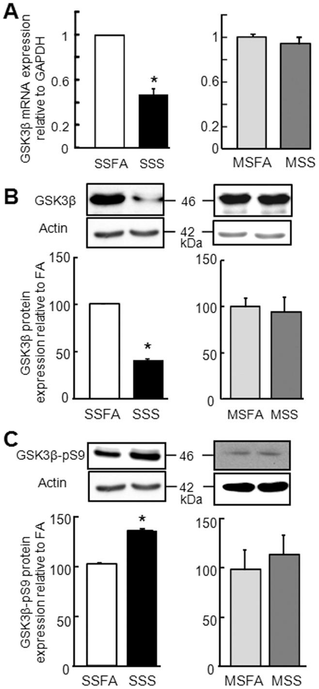 https://cdn.ncbi.nlm.nih.gov/pmc/blobs/98f4/3499494/42503a2b46c6/pone.0049930.g005.jpg