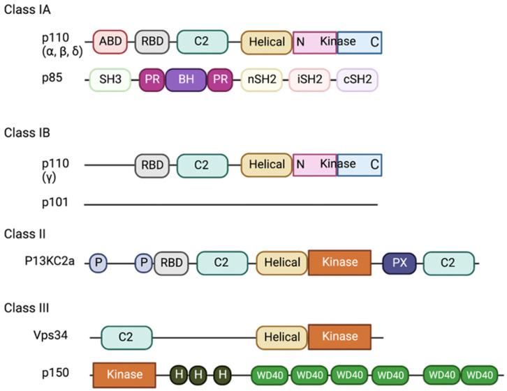 https://cdn.ncbi.nlm.nih.gov/pmc/blobs/98f9/11546674/4c029de6faa8/ijms-25-11638-g002.jpg