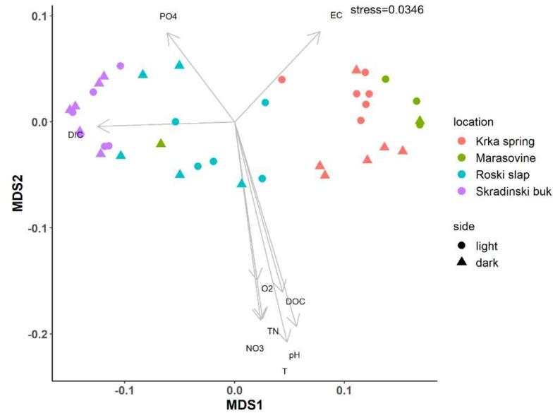 https://cdn.ncbi.nlm.nih.gov/pmc/blobs/98f9/9783291/67ef52aa2661/microorganisms-10-02493-g003.jpg