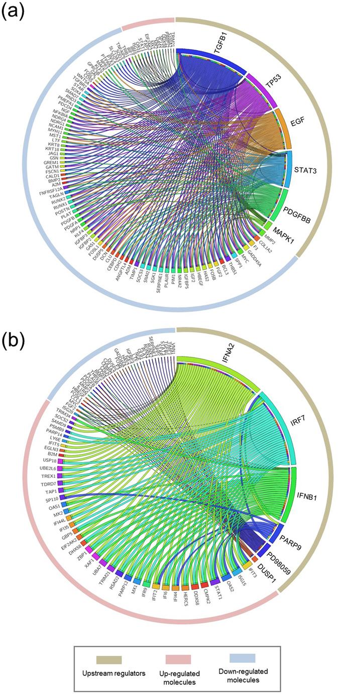 https://cdn.ncbi.nlm.nih.gov/pmc/blobs/98fc/5533789/3a9714557d14/41598_2017_7039_Fig3_HTML.jpg