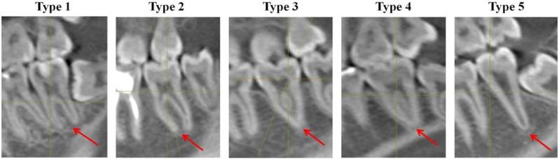 https://cdn.ncbi.nlm.nih.gov/pmc/blobs/9900/11987455/121b98f70852/12880_2025_1640_Fig3_HTML.jpg