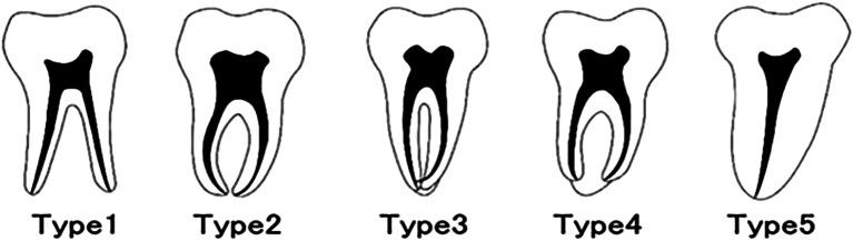 https://cdn.ncbi.nlm.nih.gov/pmc/blobs/9900/11987455/26fc5c7f8ae6/12880_2025_1640_Fig2_HTML.jpg