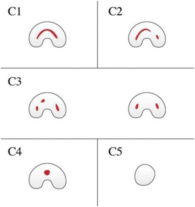 https://cdn.ncbi.nlm.nih.gov/pmc/blobs/9900/11987455/28c6f2b7ece1/12880_2025_1640_Fig1_HTML.jpg