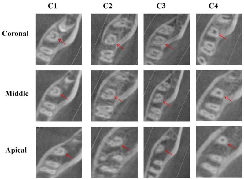 https://cdn.ncbi.nlm.nih.gov/pmc/blobs/9900/11987455/ae1f00b2c89b/12880_2025_1640_Fig4_HTML.jpg