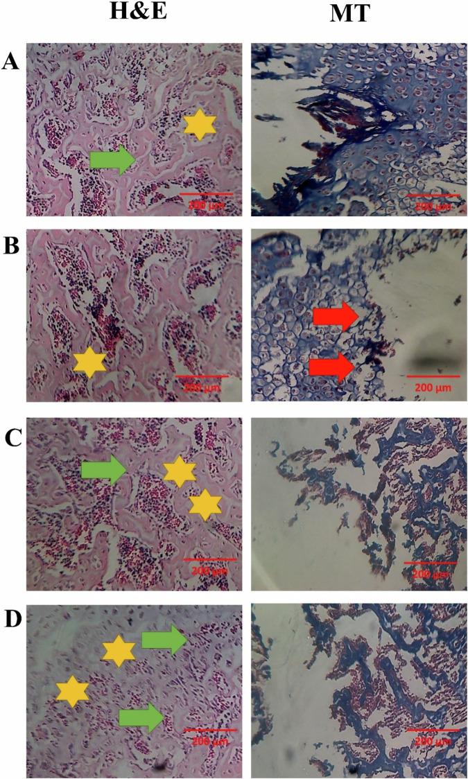 https://cdn.ncbi.nlm.nih.gov/pmc/blobs/9901/11442572/50a321310784/10856_2024_6820_Fig8_HTML.jpg