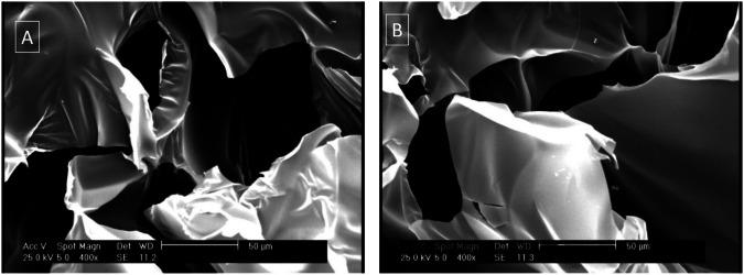 https://cdn.ncbi.nlm.nih.gov/pmc/blobs/9901/11442572/65303b486b92/10856_2024_6820_Fig2_HTML.jpg