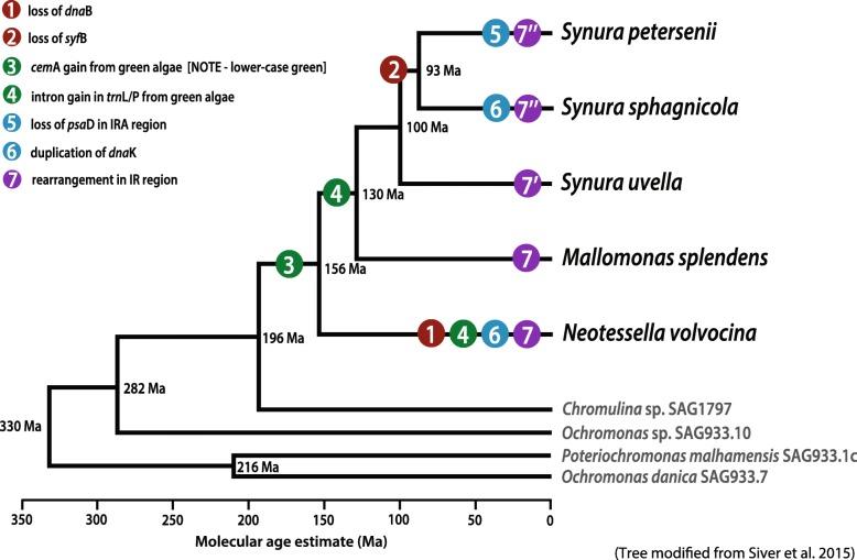 https://cdn.ncbi.nlm.nih.gov/pmc/blobs/9901/6330437/2b8074c868cf/12862_2018_1316_Fig5_HTML.jpg