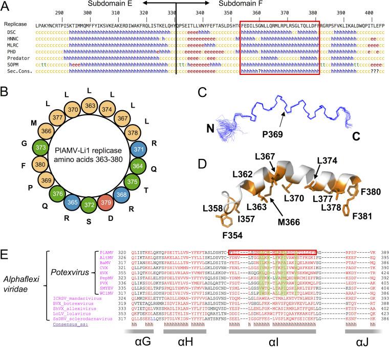 https://cdn.ncbi.nlm.nih.gov/pmc/blobs/9901/8475525/6ddcf41eb0c0/jvi.01906-20-f003.jpg